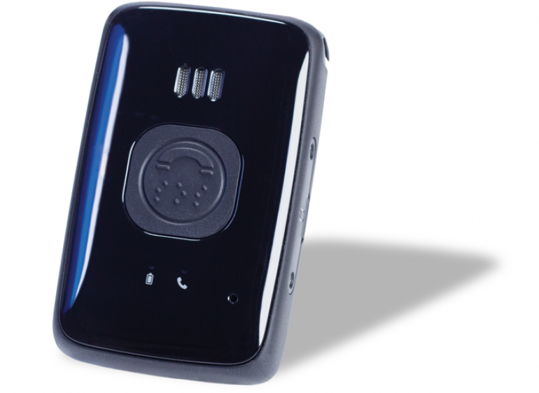 A standalone Belle carelink device